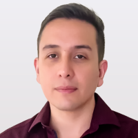 Luis Camilo Forero Garzon